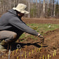  Fruit tree cuttings workshop