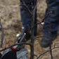 Pruning workshop for fruit trees and shrubs